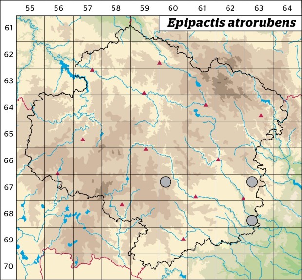 Mapa výskytu - kruštík tmavočervený - Epipactis atrorubens