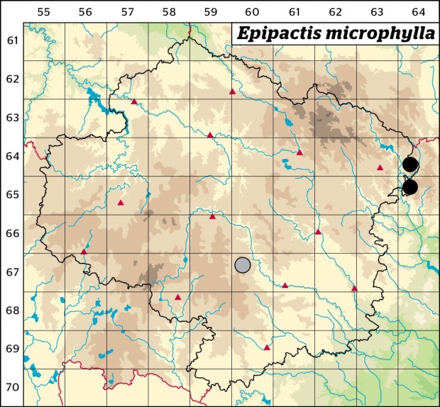 Mapa výskytu - kruštík drobnolistý - Epipactis microphylla