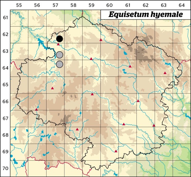 Mapa výskytu - přeslička zimní - Equisetum hyemale