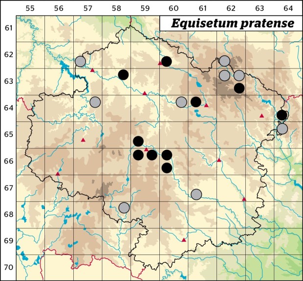 Mapa výskytu - přeslička luční - Equisetum pratense