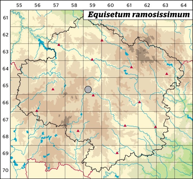 Mapa výskytu - přeslička větevnatá - Equisetum ramosissimum