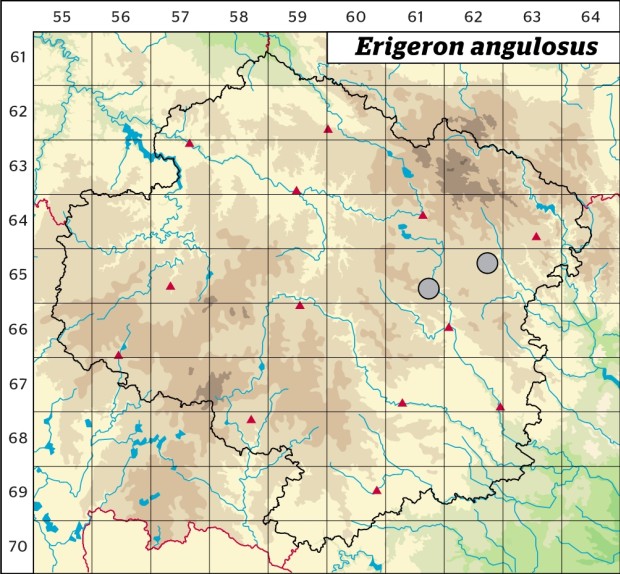 Mapa výskytu - turan hranatý - Erigeron angulosus