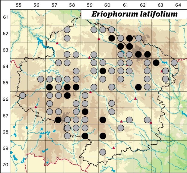 Mapa výskytu - suchopýr širolistý - Eriophorum latifolium