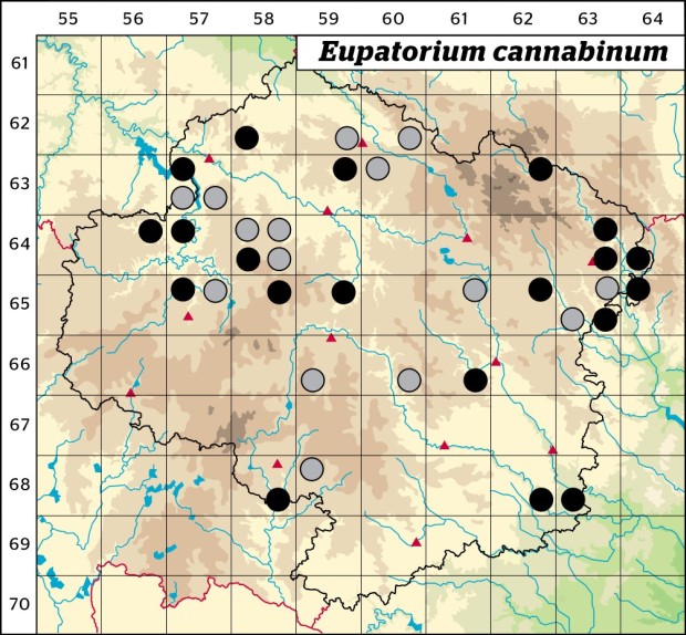 Mapa výskytu - sadec konopáč - Eupatorium cannabinum