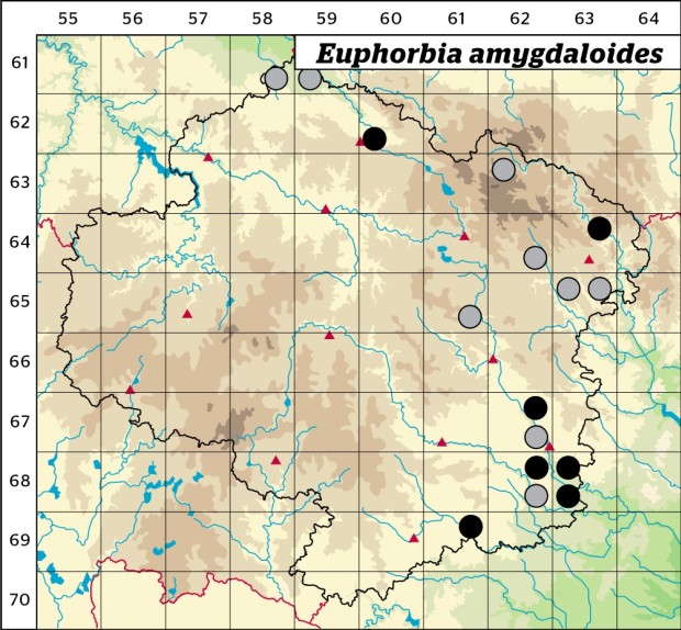 Mapa výskytu - pryšec mandloňovitý - Euphorbia amygdaloides