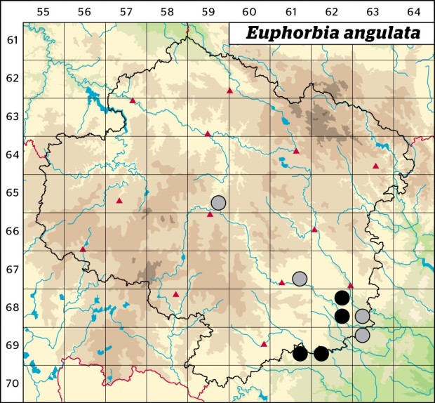 Mapa výskytu - pryšec hranatý - Euphorbia angulata