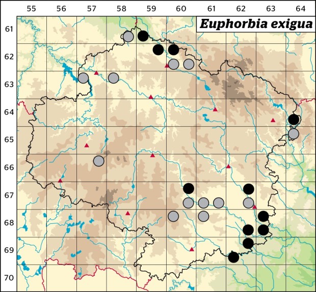 Mapa výskytu - pryšec drobný - Euphorbia exigua