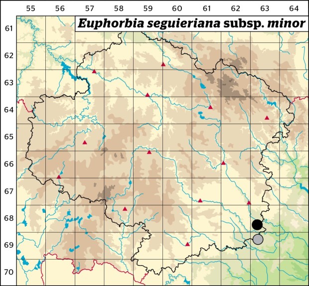 Mapa výskytu - pryšec sivý menší - Euphorbia seguieriana subsp. minor