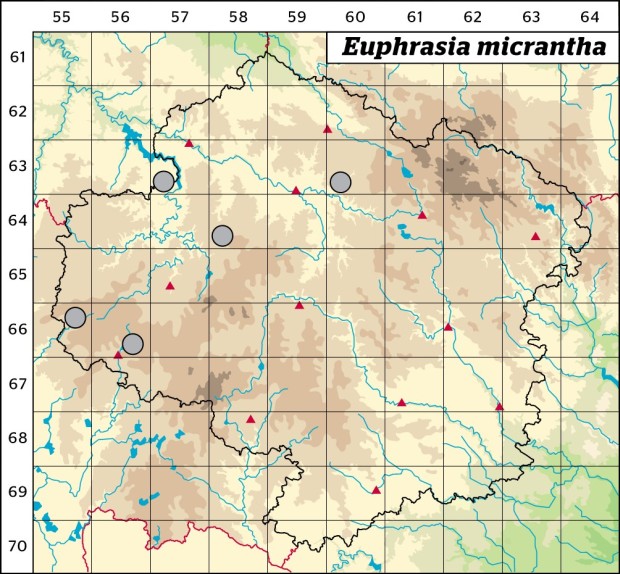 Mapa výskytu - světlík drobnokvětý - Euphrasia micrantha