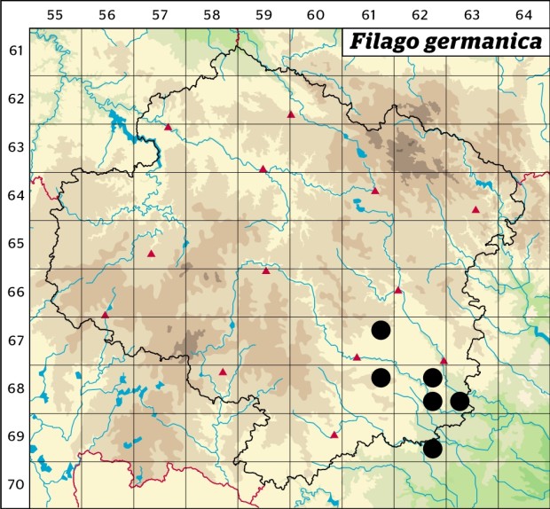 Mapa výskytu - bělolist obecný - Filago germanica