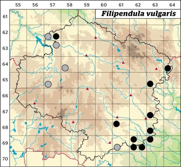 Mapa výskytu - tužebník obecný - Filipendula vulgaris