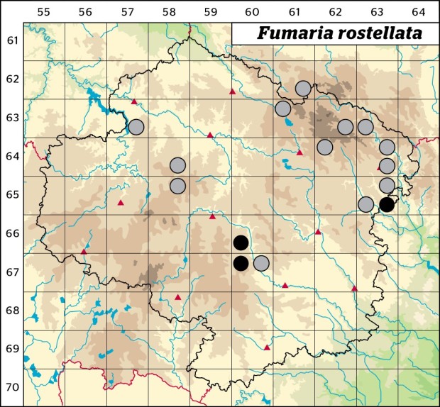 Mapa výskytu - zemědým zobánkatý - Fumaria rostellata
