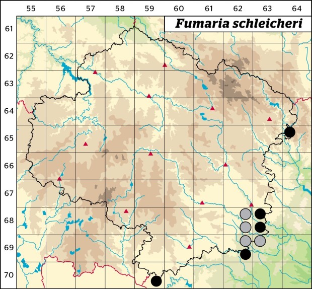 Mapa výskytu - zemědým Schleicherův - Fumaria schleicheri