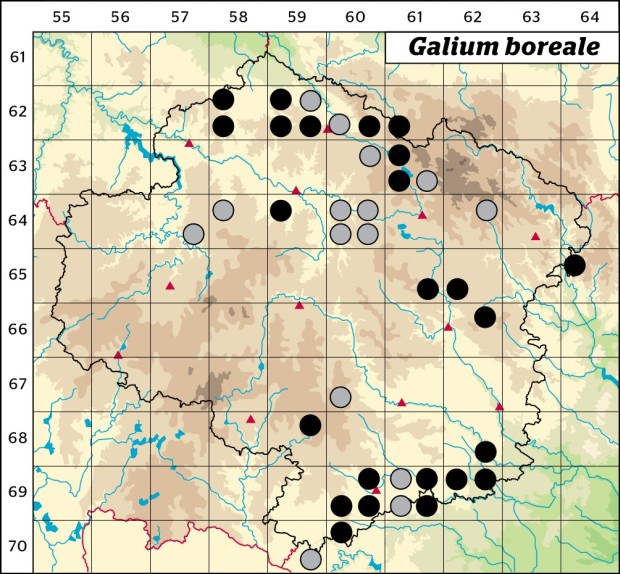 Mapa výskytu - svízel severní - Galium boreale