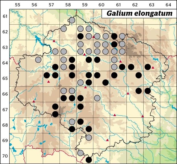 Mapa výskytu - svízel prodloužený - Galium elongatum