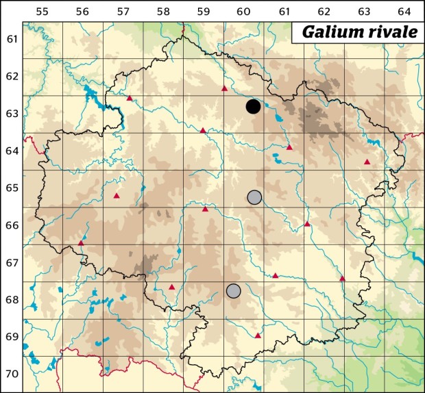 Mapa výskytu - svízel potoční - Galium rivale