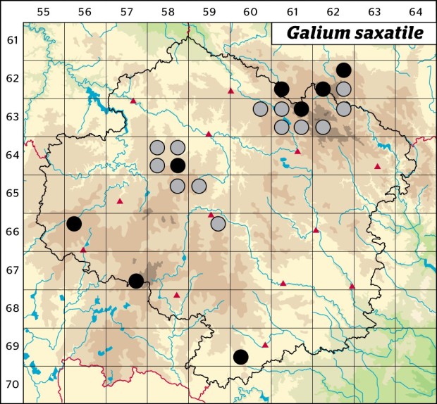 Mapa výskytu - svízel hercynský - Galium saxatile