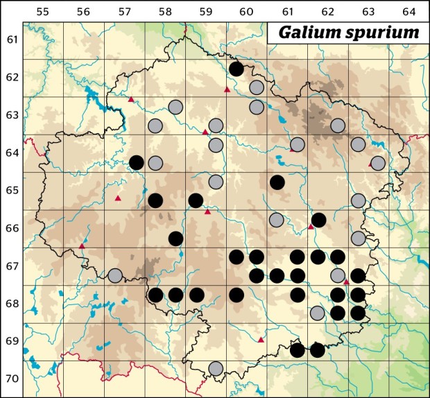Mapa výskytu - svízel pochybný - Galium spurium