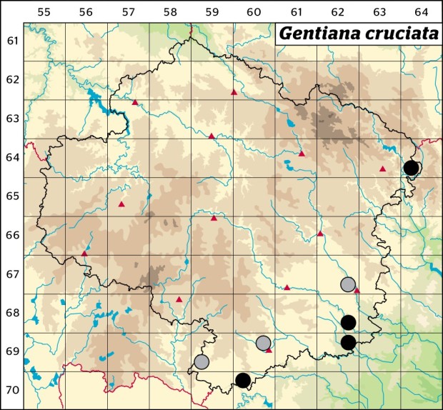 Mapa výskytu - hořec křížatý - Gentiana cruciata