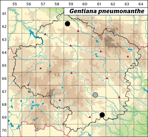 Mapa výskytu - hořec hořepník - Gentiana pneumonanthe