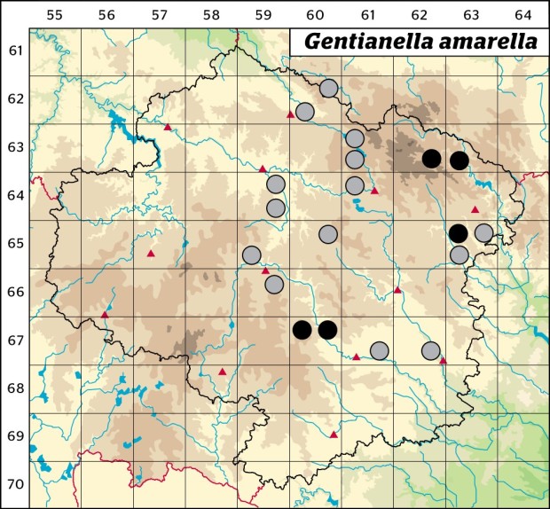 Mapa výskytu - hořeček nahořklý pravý - Gentianella amarella subsp. amarella