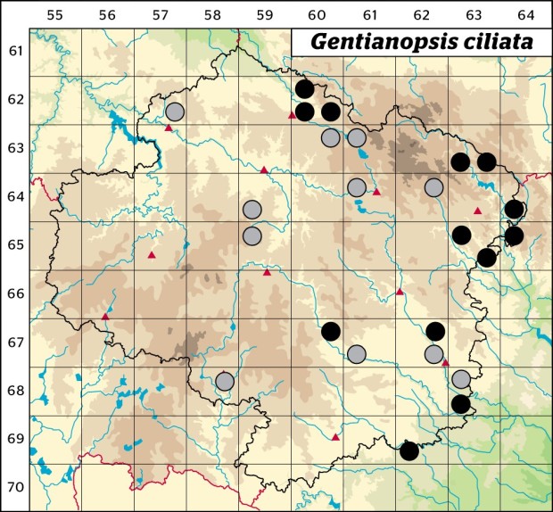Mapa výskytu - hořec brvitý - Gentianopsis ciliata