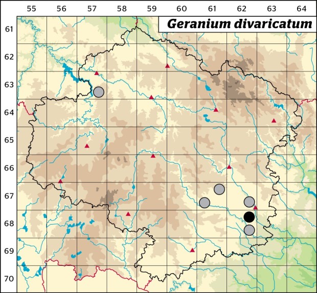 Mapa výskytu - kakost rozkladitý - Geranium divaricatum