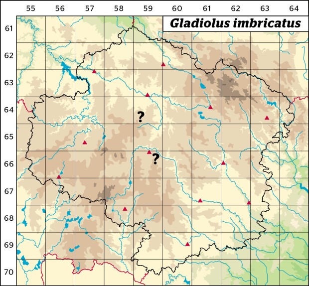 Mapa výskytu - mečík střechovitý - Gladiolus imbricatus