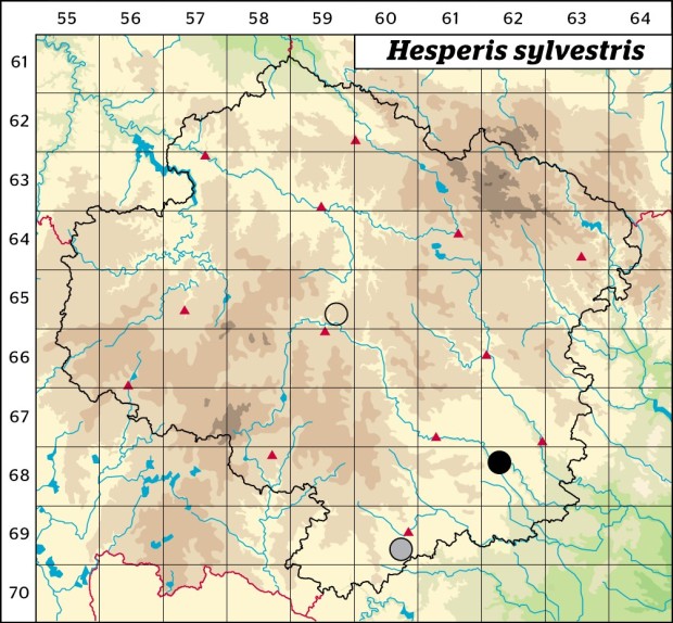 Mapa výskytu - večernice lesní - Hesperis sylvestris