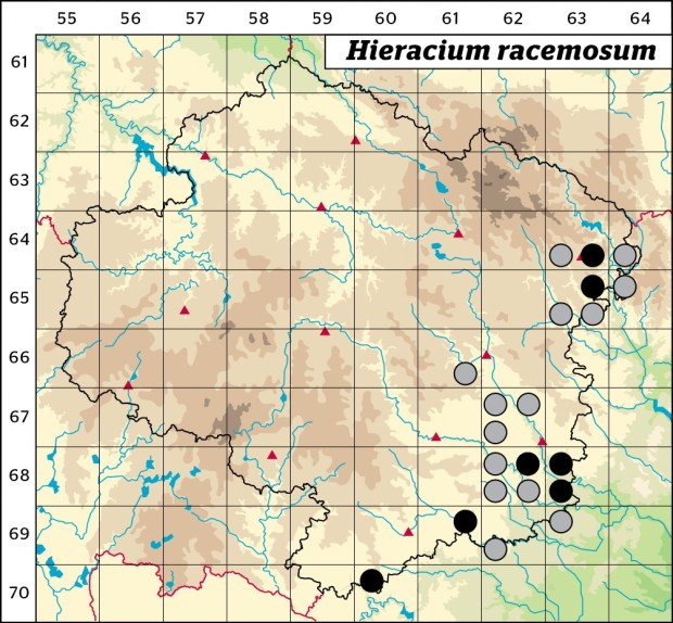 Mapa výskytu - jestřábník hroznatý - Hieracium racemosum