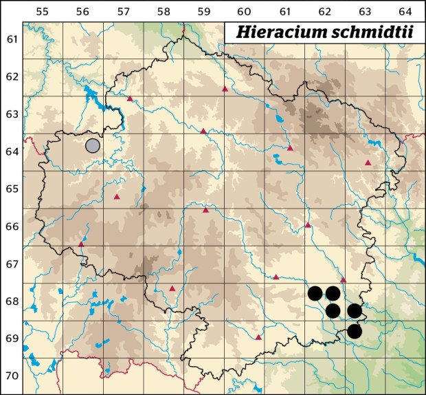 Mapa výskytu - jestřábník bledý - Hieracium schmidtii