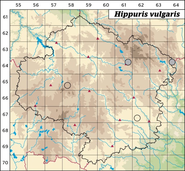 Mapa výskytu - prustka obecná - Hippuris vulgaris