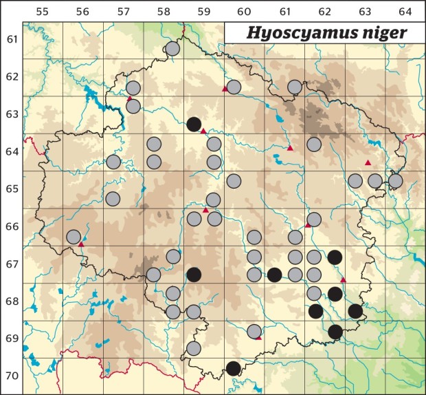 Mapa výskytu - blín černý - Hyoscyamus niger