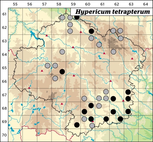 Mapa výskytu - třezalka čtyřkřídlá - Hypericum tetrapterum