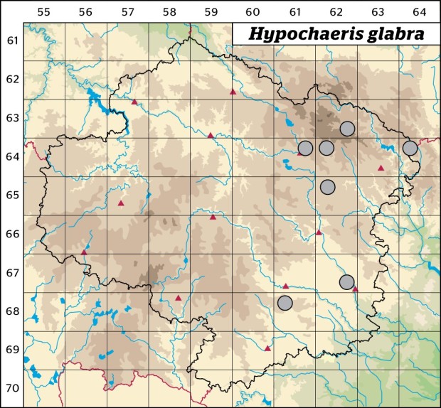 Mapa výskytu - prasetník lysý - Hypochaeris glabra