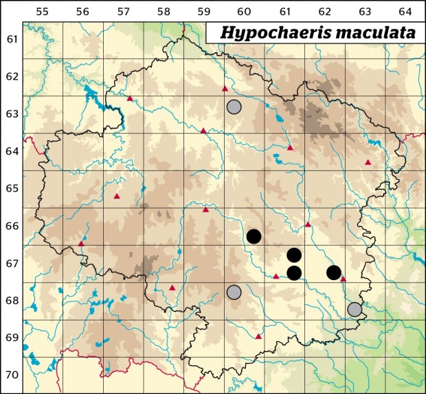 Mapa výskytu - prasetník plamatý - Hypochaeris maculata