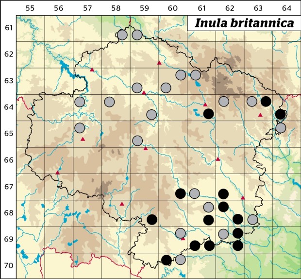 Mapa výskytu - oman britský - Inula britannica