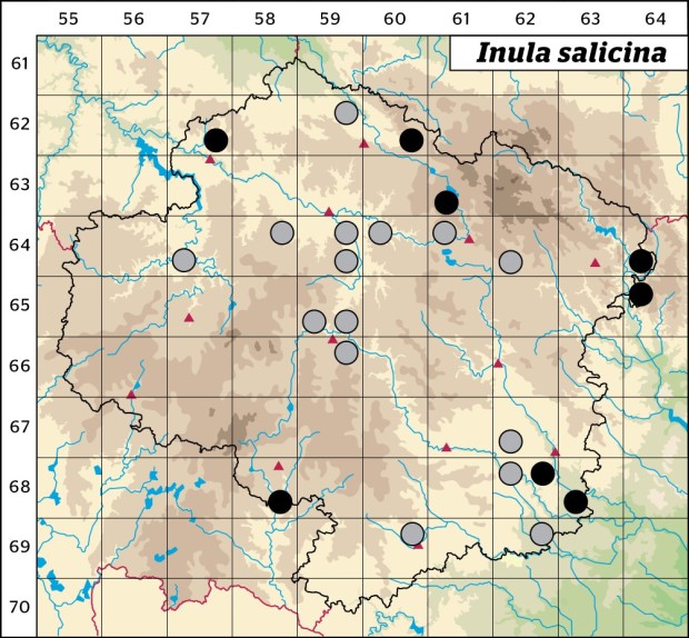 Mapa výskytu - oman vrbolistý - Inula salicina