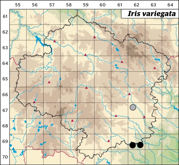 Mapa výskytu - kosatec různobarvý - Iris variegata