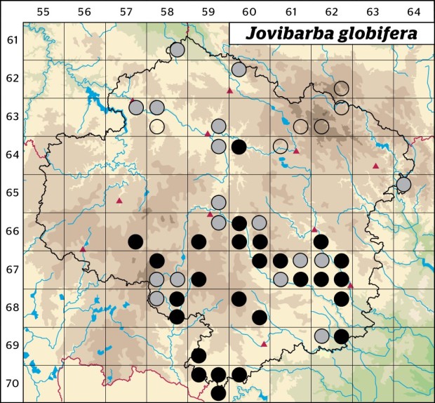 Mapa výskytu - netřesk výběžkatý - Jovibarba globifera