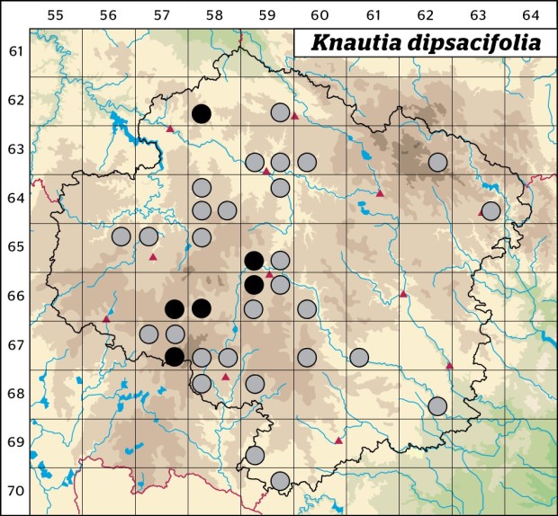 Mapa výskytu - chrastavec lesní - Knautia dipsacifolia