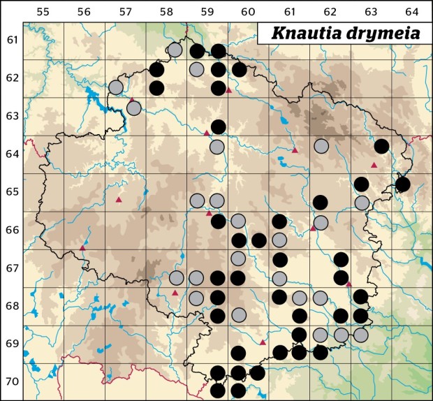 Mapa výskytu - chrastavec křovištní - Knautia drymeia