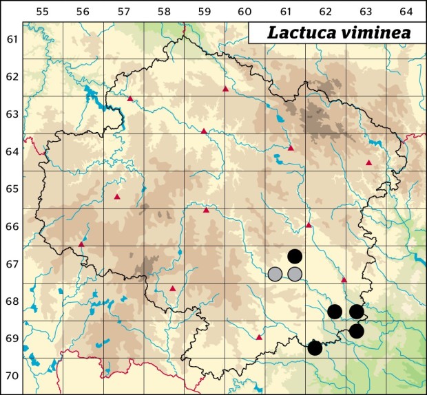 Mapa výskytu - locika prutnatá - Lactuca viminea