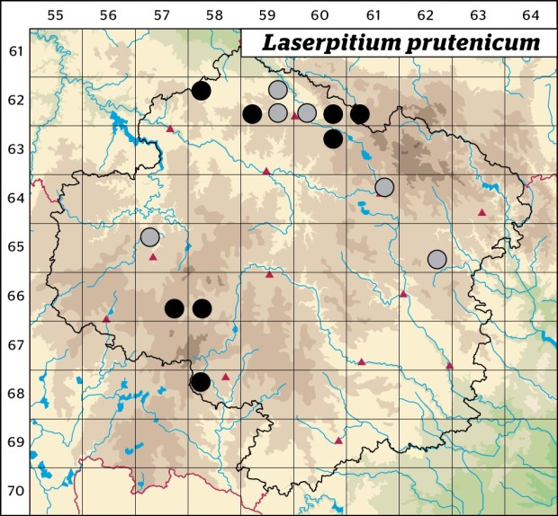 Mapa výskytu - hladýš pruský - Laserpitium prutenicum