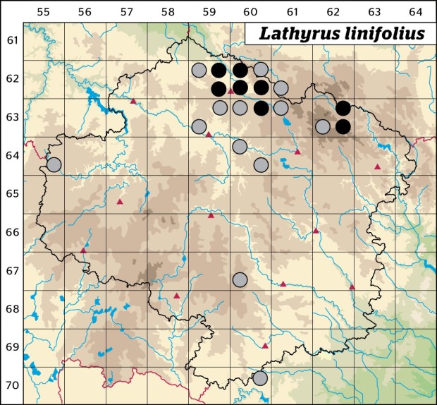 Mapa výskytu - hrachor horský - Lathyrus linifolius
