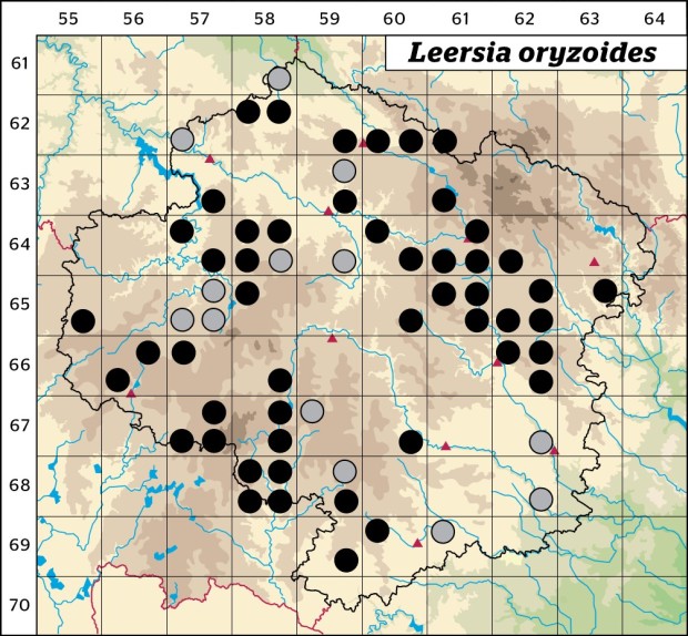 Mapa výskytu - tajnička rýžovitá - Leersia oryzoides