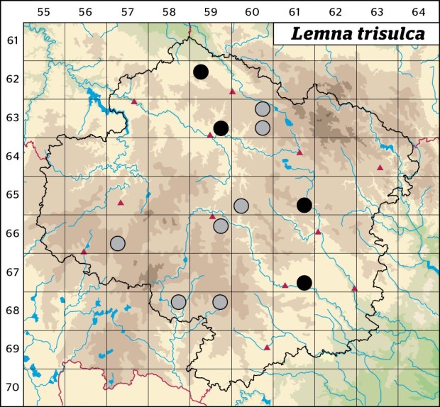 Mapa výskytu - okřehek trojbrázdý - Lemna trisulca