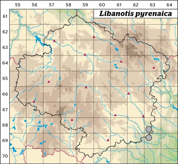 Mapa výskytu - žebřice pyrenejská - Libanotis pyrenaica