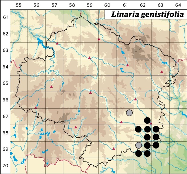 Mapa výskytu - lnice kručinkolistá - Linaria genistifolia
