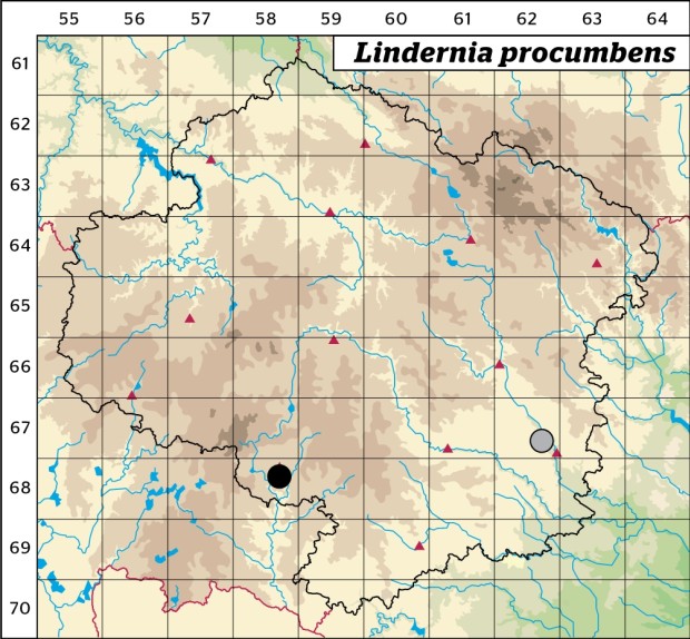 Mapa výskytu - puštička pouzdernatá - Lindernia procumbens